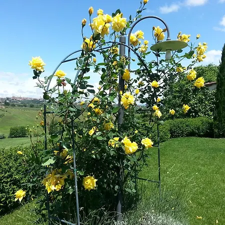Bed & Breakfast Aia Mattonata Relais Siena