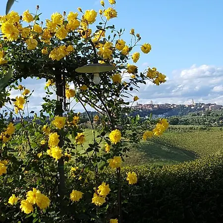 Oda ve Kahvaltı Aia Mattonata Relais Siena